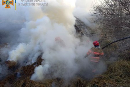 В Одесской области от возгорания спасли жилой дом (фото)